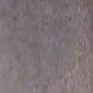 Meet your Posher, Alan